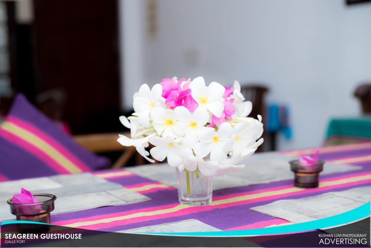 Seagreen Guesthouse - Galle Fort Zewnętrze zdjęcie